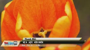 Vị Ngọt Đôi Môi – Thanh Hiền