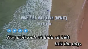 Vĩnh Biệt Màu Xanh (Remix) – Trịnh Tuấn Vỹ