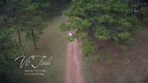 Vô Tình (Acoustic) – Cao Sỹ Hùng