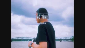 Vô Tình – Homin