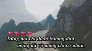 Xin Cho Mãi Yêu (Lofi) – Vicky Nhung