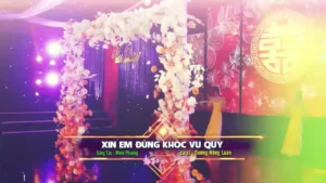 Xin Em Đừng Khóc Vu Quy – Dương Hồng Loan