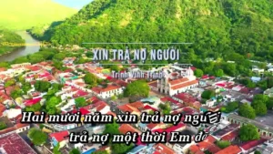 Xin Trả Nợ Người – Trịnh Vĩnh Trinh