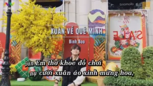 Xuân Về Quê Mình – Bình Boo