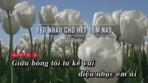 Yêu Nhau Cho Hết Đêm Nay – Tú Quyên